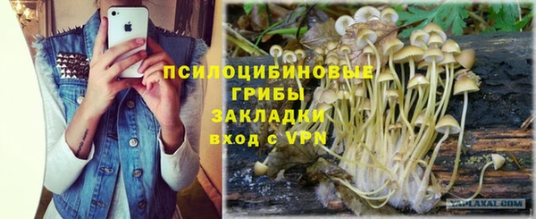 героин Алексин